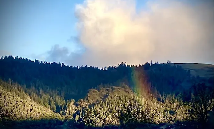 Tri City RV Park Picture 6