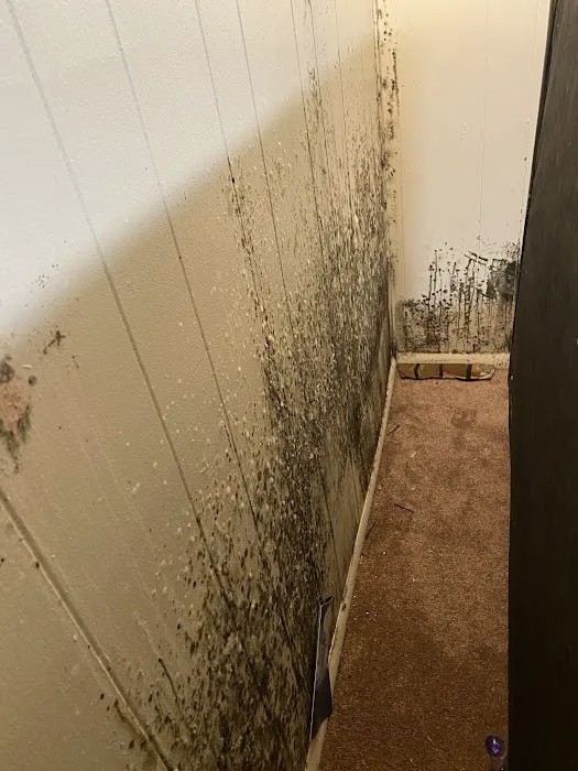 Tri City Mobile Estates Picture 6