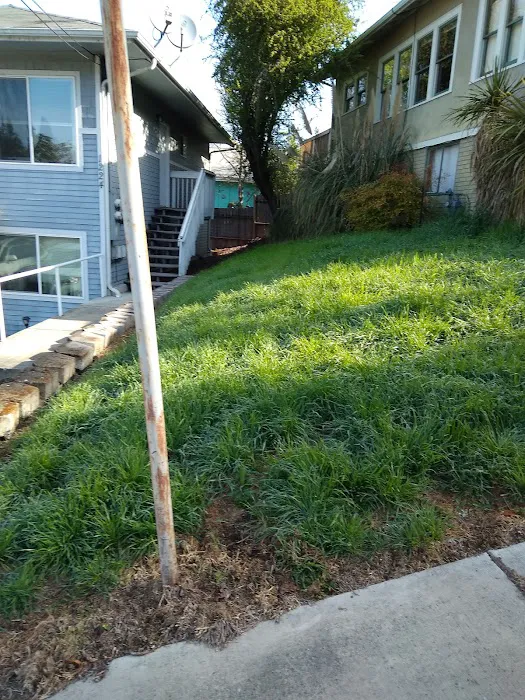 Surprise Valley RV Park Picture 1