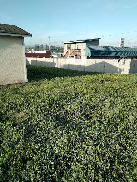 Surprise Valley RV Park Picture 3