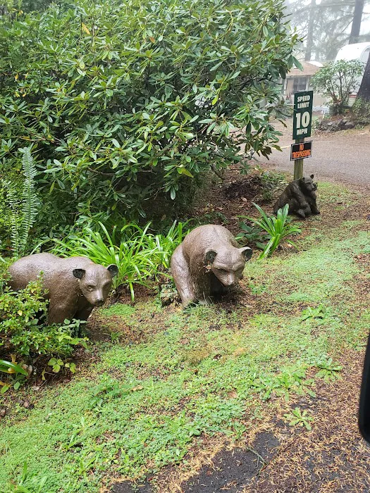 Buck Lake Mobile Home & RV Park Picture 10