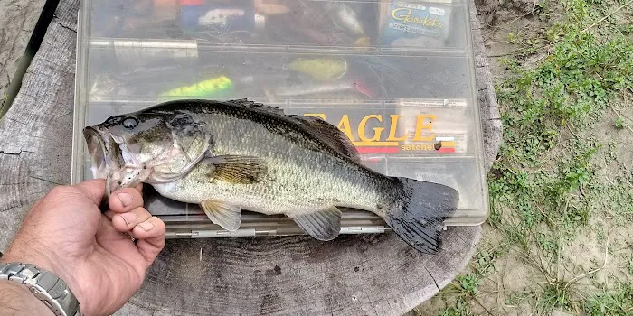 Buck Lake Mobile Home & RV Park Picture 5