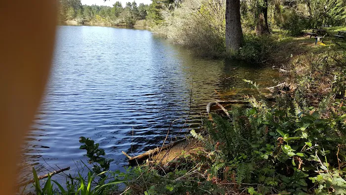 Buck Lake Mobile Home & RV Park Picture 7