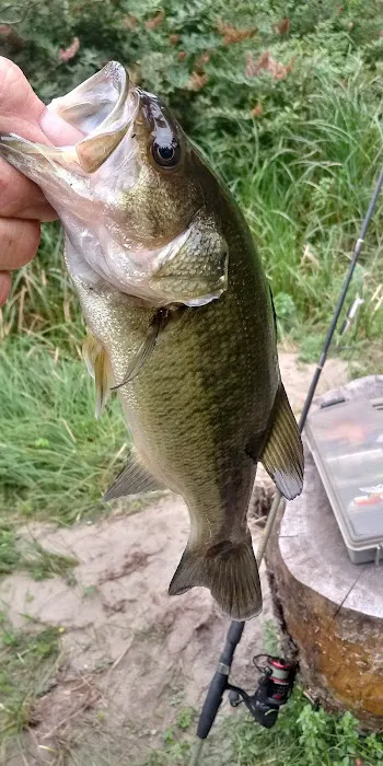 Buck Lake Mobile Home & RV Park Picture 1