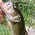 Buck Lake Mobile Home & RV Park