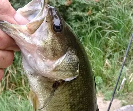 Buck Lake Mobile Home & RV Park