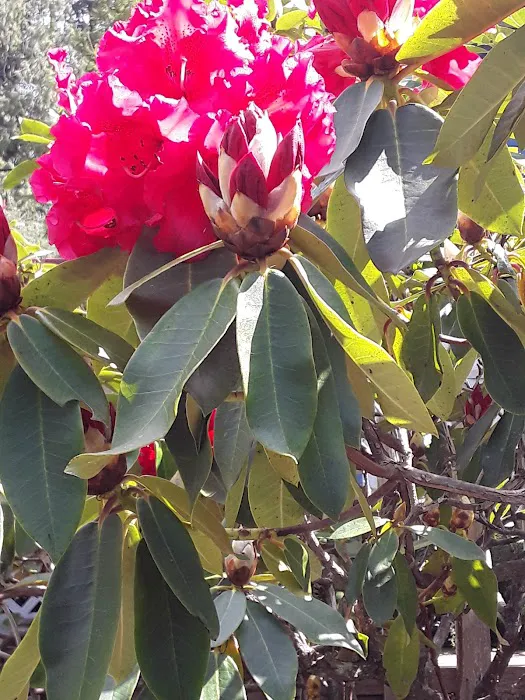 Buck Lake Mobile Home & RV Park Picture 8