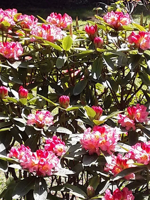 Buck Lake Mobile Home & RV Park Picture 6