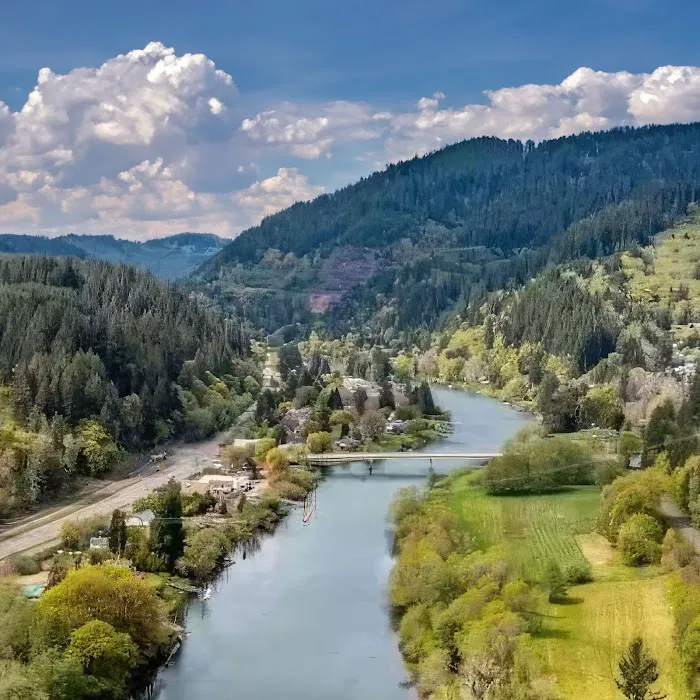 Maple Lane RV Park and Marina Picture 4