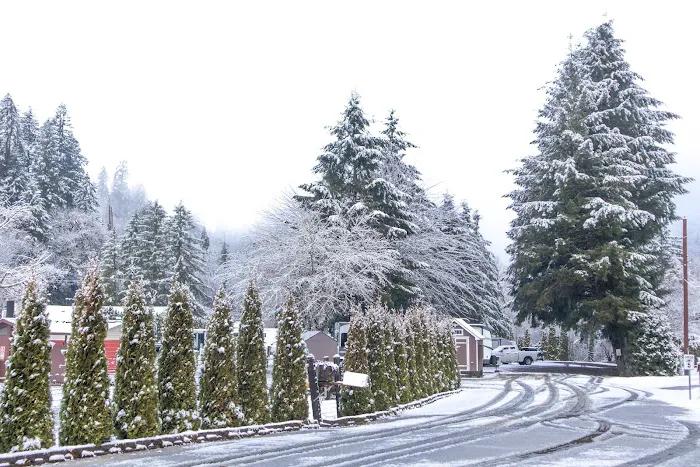 Maple Lane RV Park and Marina Picture 2