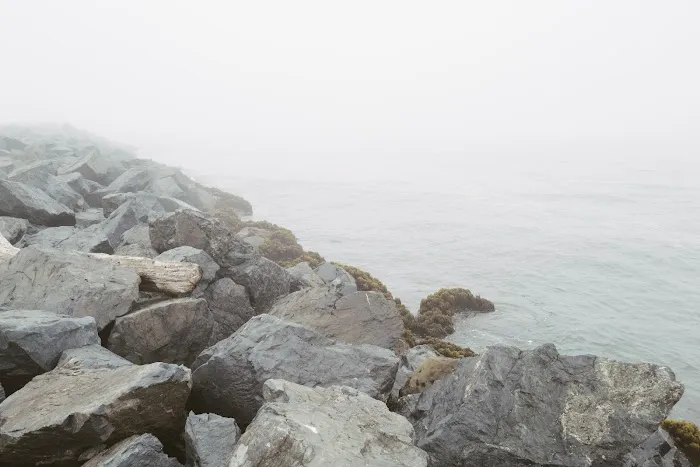 Lucky Loggers RV Park Picture 3