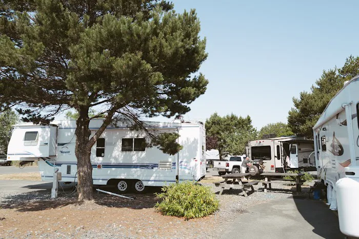 Lucky Loggers RV Park Picture 6