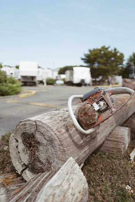 Lucky Loggers RV Park Picture 7