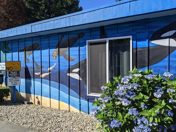 Plainview Motel & RV Park Picture 5