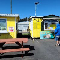 Charleston Marina RV Park ico