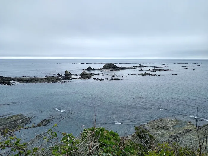 Charleston Marina RV Park Picture 6