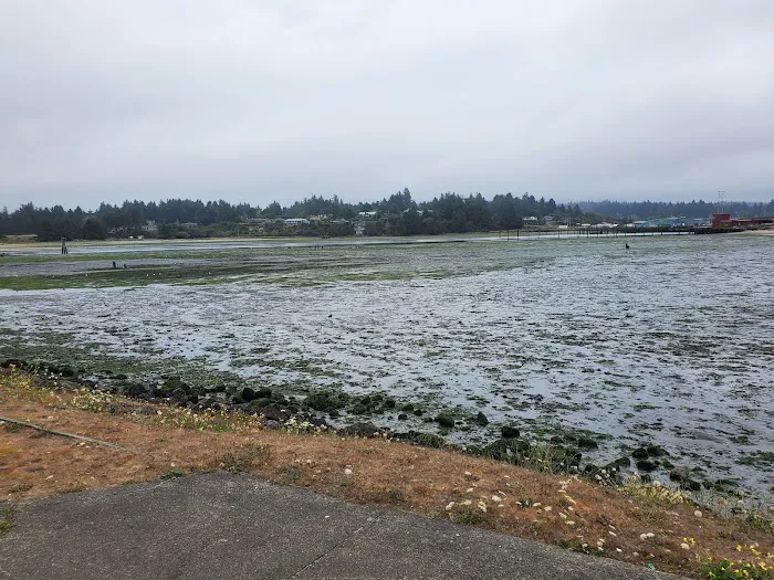 Charleston Marina RV Park Picture 7