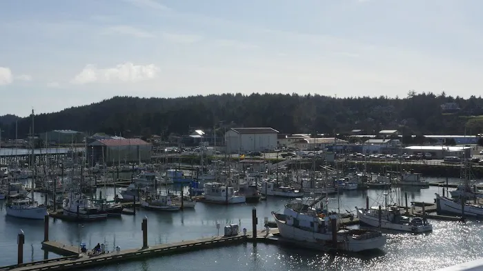 Charleston Marina RV Park Picture 9