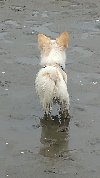 Snug Harbor Rv Park Picture 3