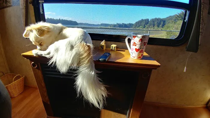 Snug Harbor Rv Park Picture 2