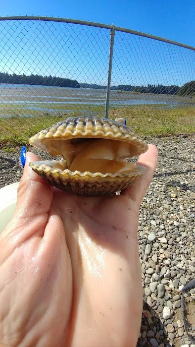 Snug Harbor Rv Park Picture 4