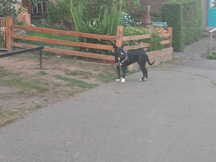 Huckleberry Hill Mobile & RV Picture 1