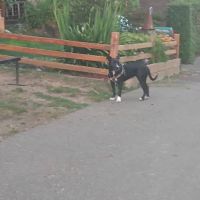 Huckleberry Hill Mobile & RV ico