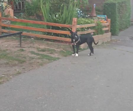 Huckleberry Hill Mobile & RV