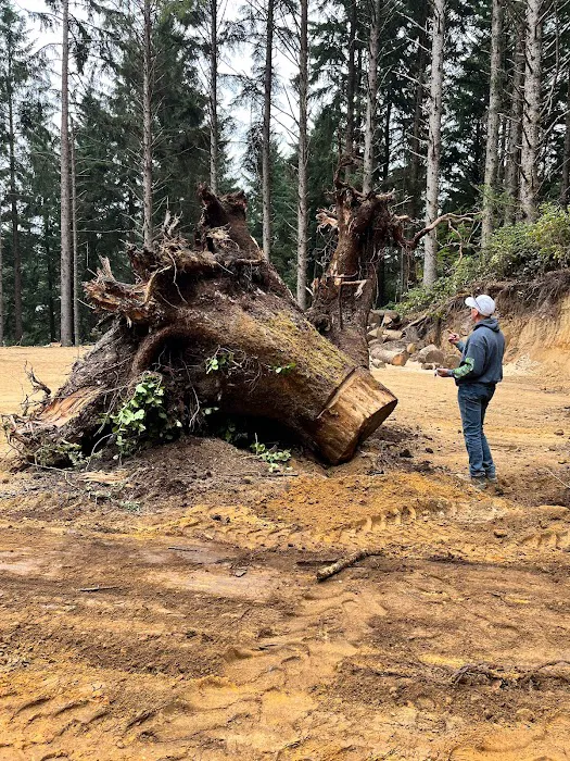 Beach Bound RV Park Picture 2