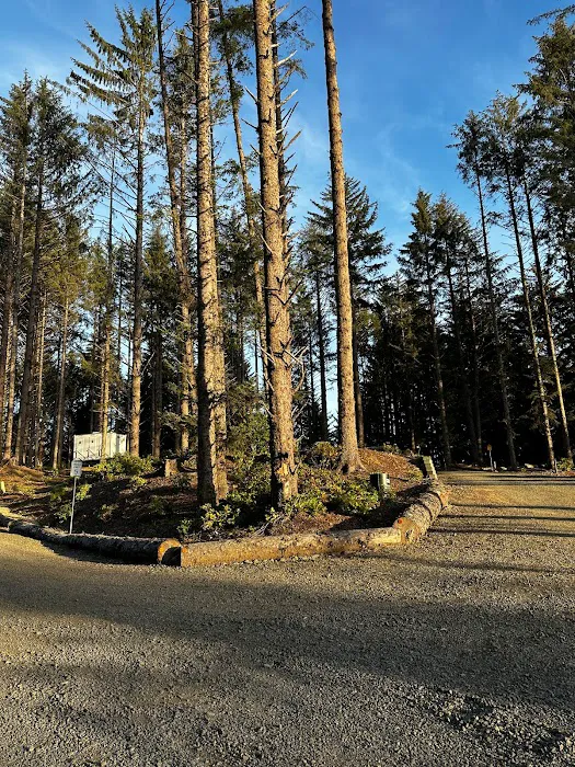 Beach Bound RV Park Picture 1