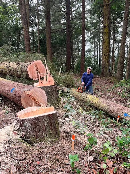 Beach Bound RV Park Picture 7