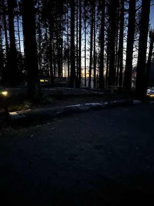 Beach Bound RV Park Picture 3