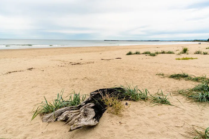 Sun Outdoors Coos Bay Picture 1