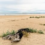 Sun Outdoors Coos Bay