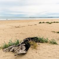 Sun Outdoors Coos Bay ico