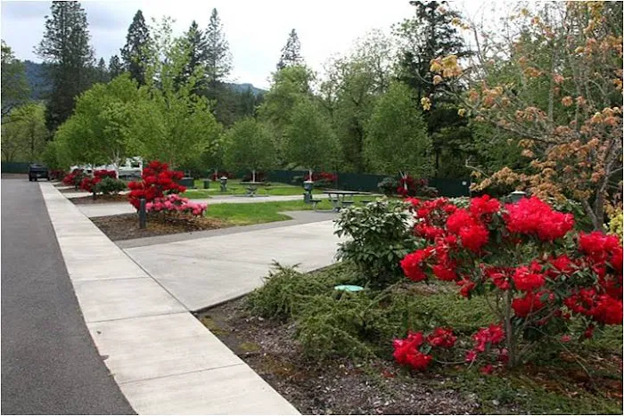 Seven Feathers RV Resort Picture 10