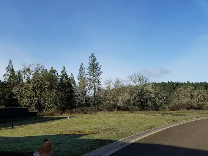 Knoll Terrace Picture 8