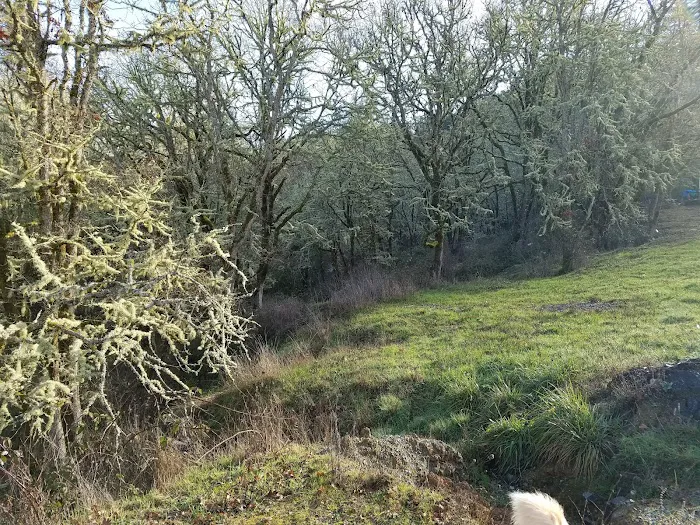 Knoll Terrace Picture 4