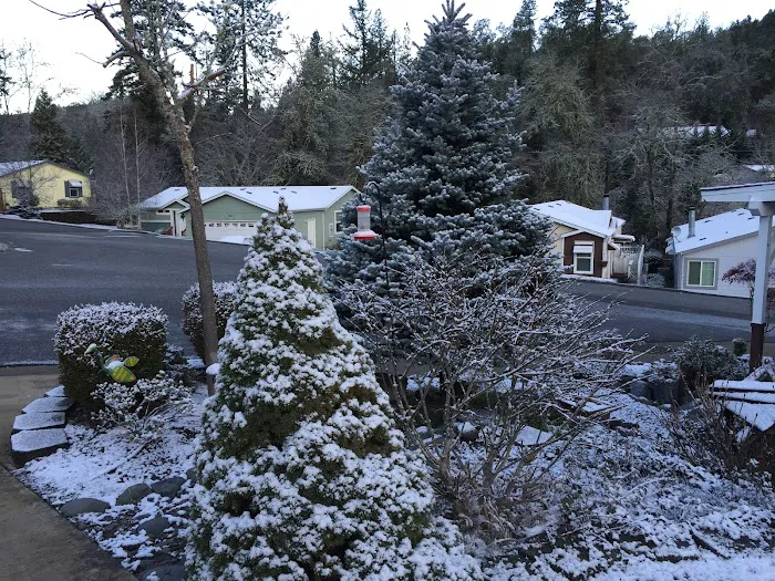 Knoll Terrace Picture 9