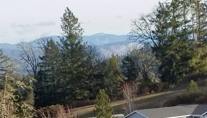 Knoll Terrace Picture 1