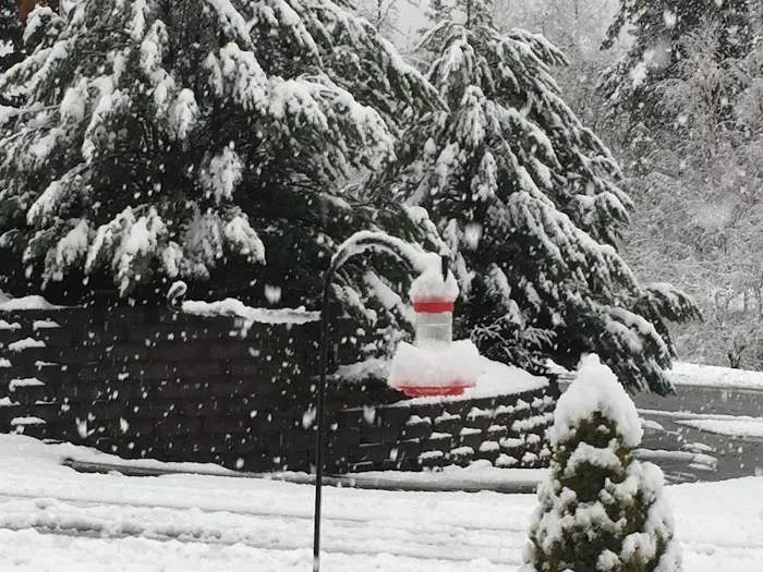 Knoll Terrace Picture 6