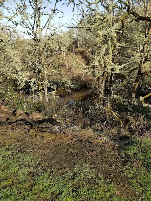 Knoll Terrace Picture 10