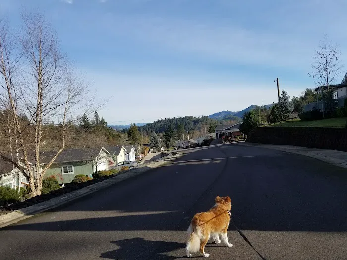 Knoll Terrace Picture 2