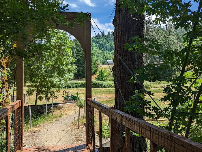 Creekside RV park Picture 4