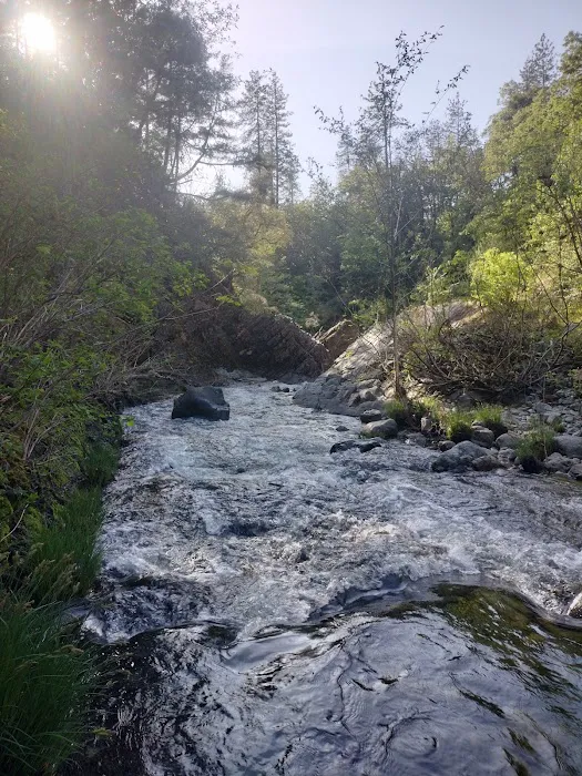 Joe Creek Waterfalls R.V. Resort Picture 4