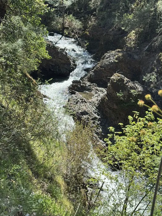 Joe Creek Waterfalls R.V. Resort Picture 5