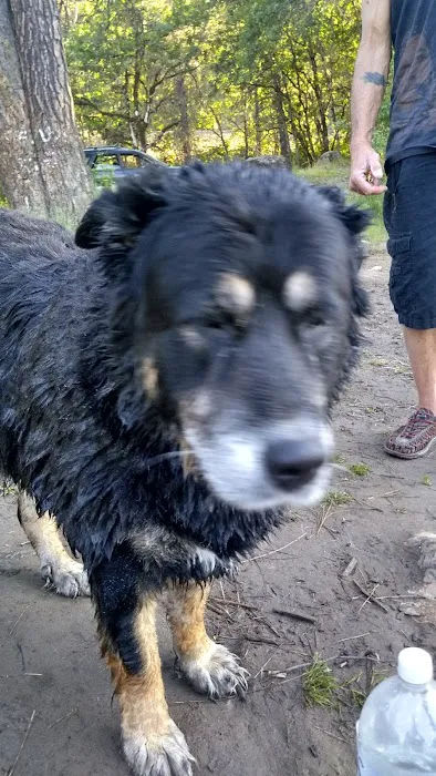 Grants Pass Over-Niters Picture 4