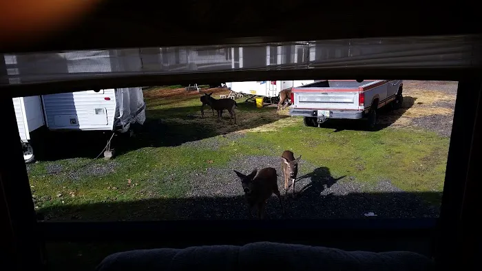 Grants Pass Over-Niters Picture 9