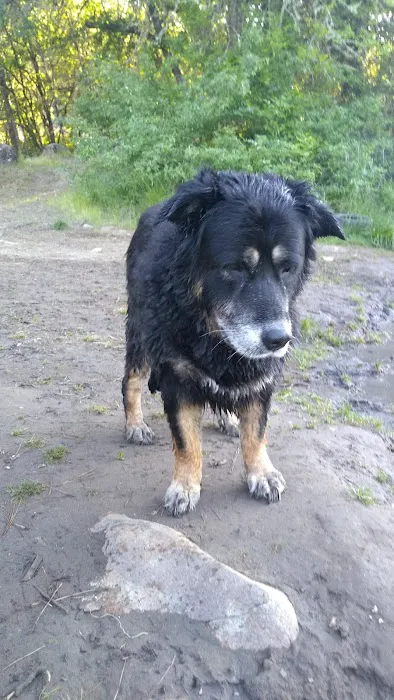 Grants Pass Over-Niters Picture 3