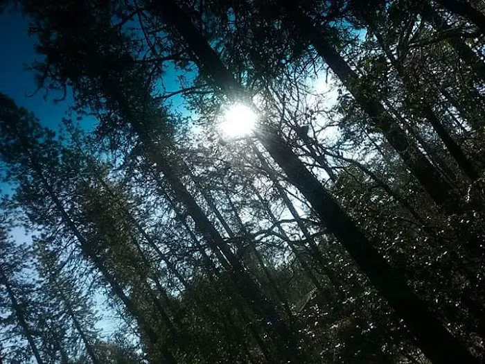 Grants Pass Over-Niters Picture 6